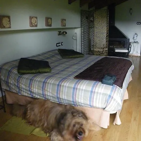 Отель La Casa Del Rio