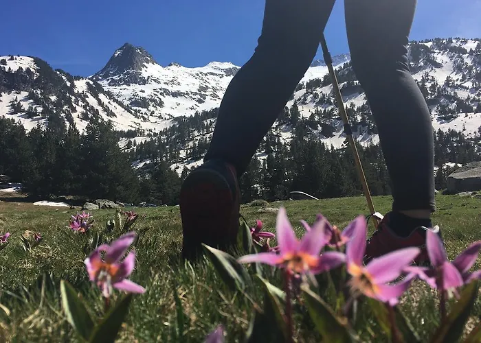 La Casa Del Rio Hotell 3*