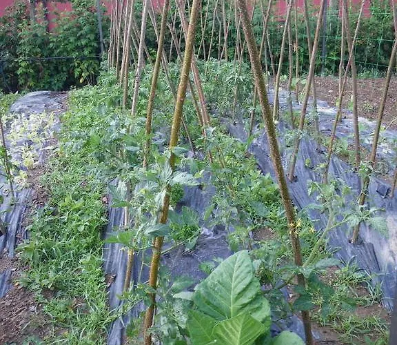 Ξενοδοχείο La Casa Del Rio Villanova