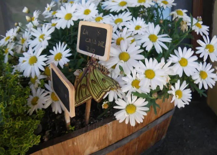 Hotell La Casa Del Rio